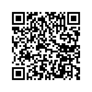 QR Code Portfolio